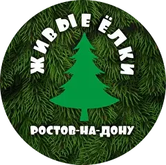 Купить живые елки