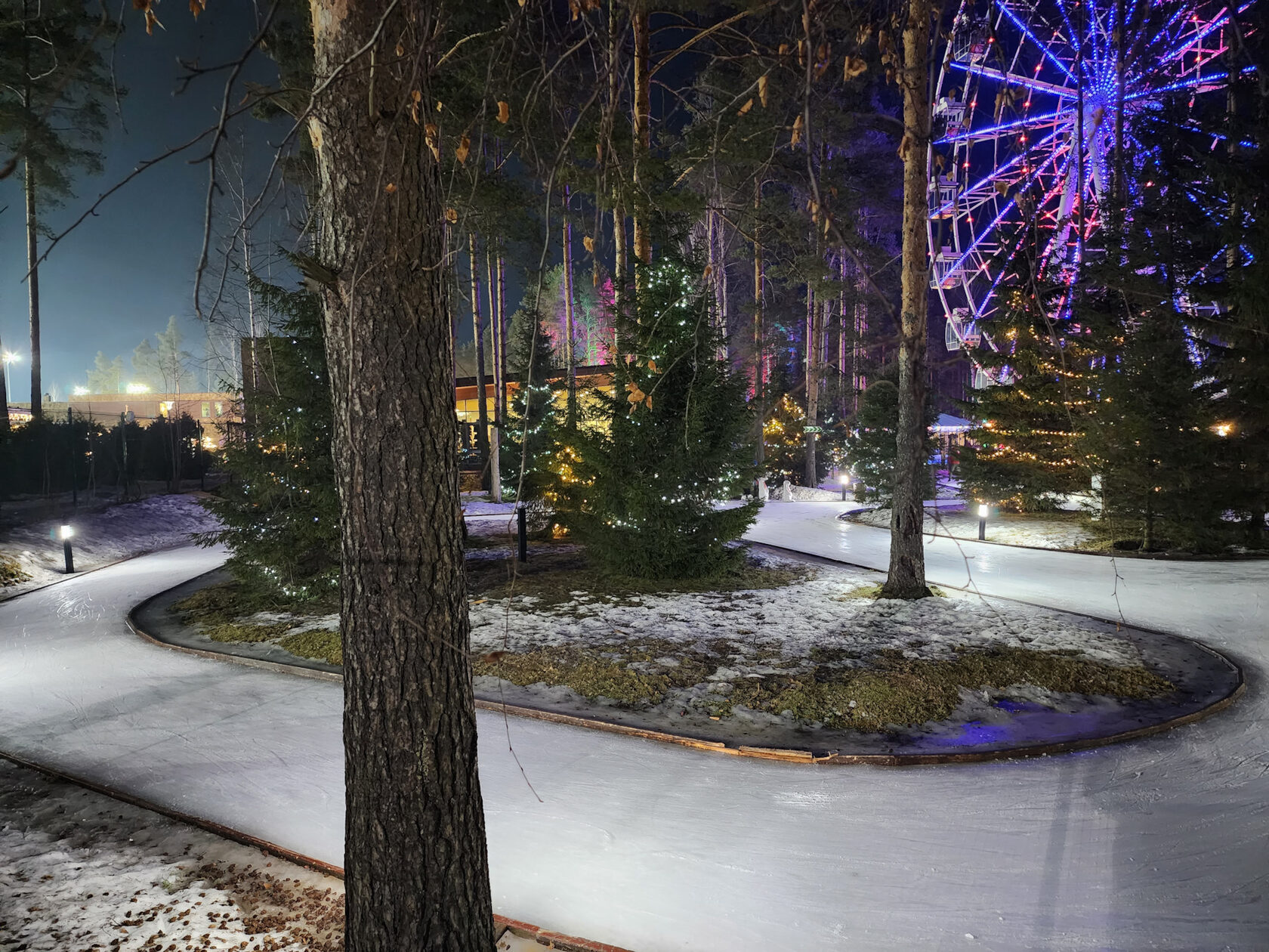 Ледяные дорожки в лесу с подсветкой в Охта Парке