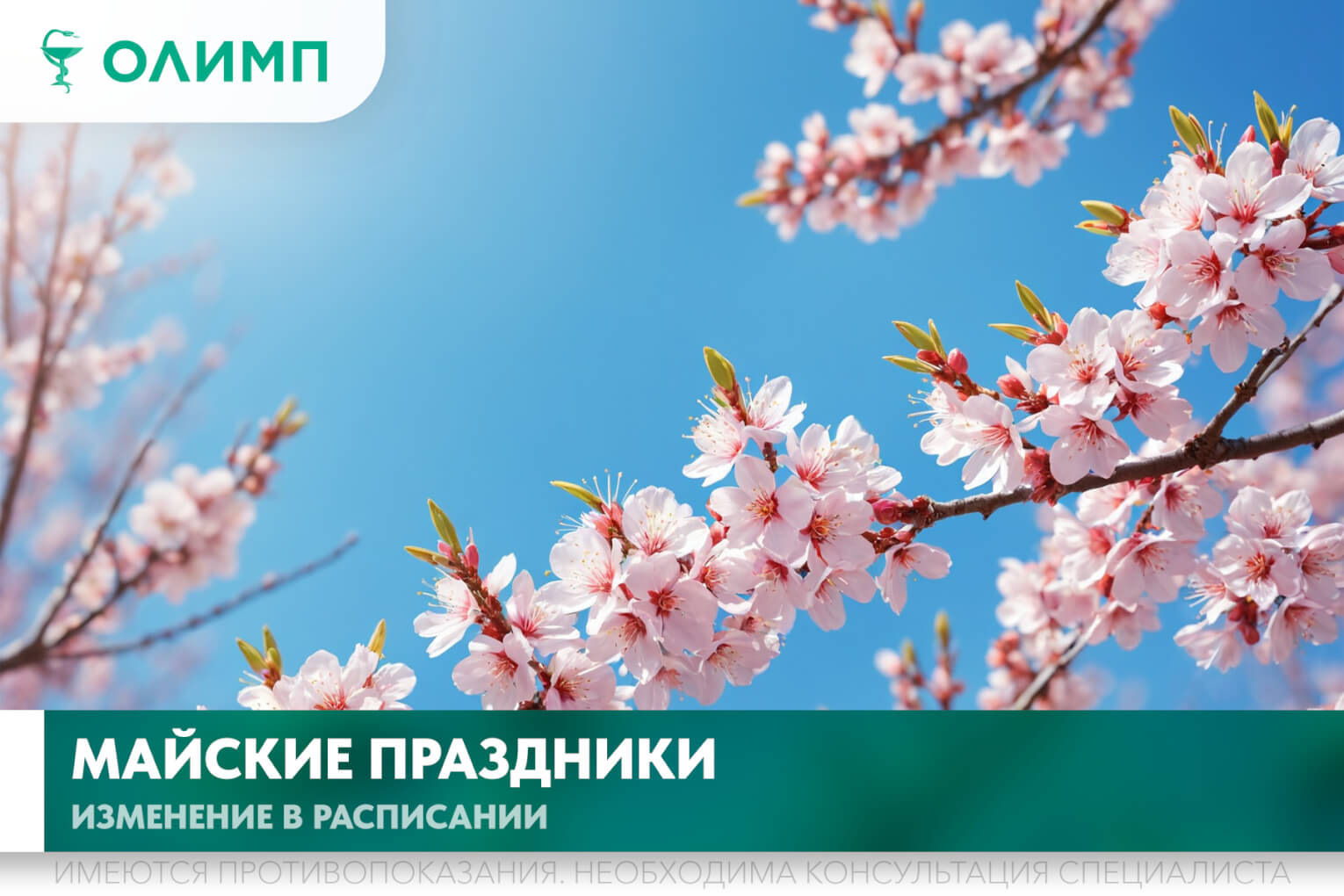 олимп тюмень медицинский центр майские праздники первомай день труда день победы