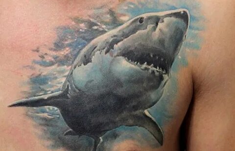 Татуировка акула - значение, фото - Тату студия Барака