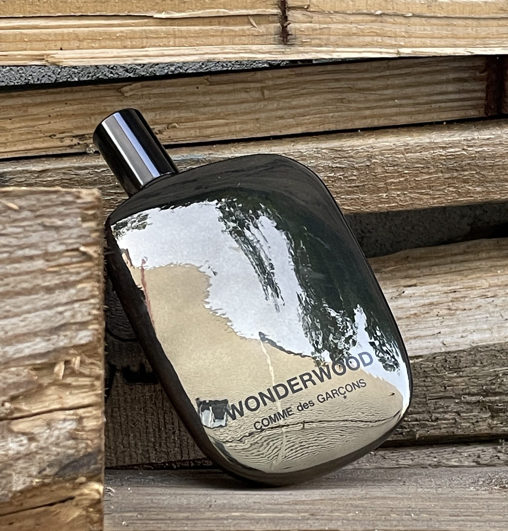 Comme des Garçons Wonderwood в LETIPARFUM