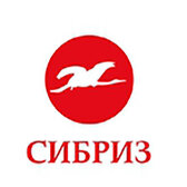 генеральный директор, СИБРИЗ