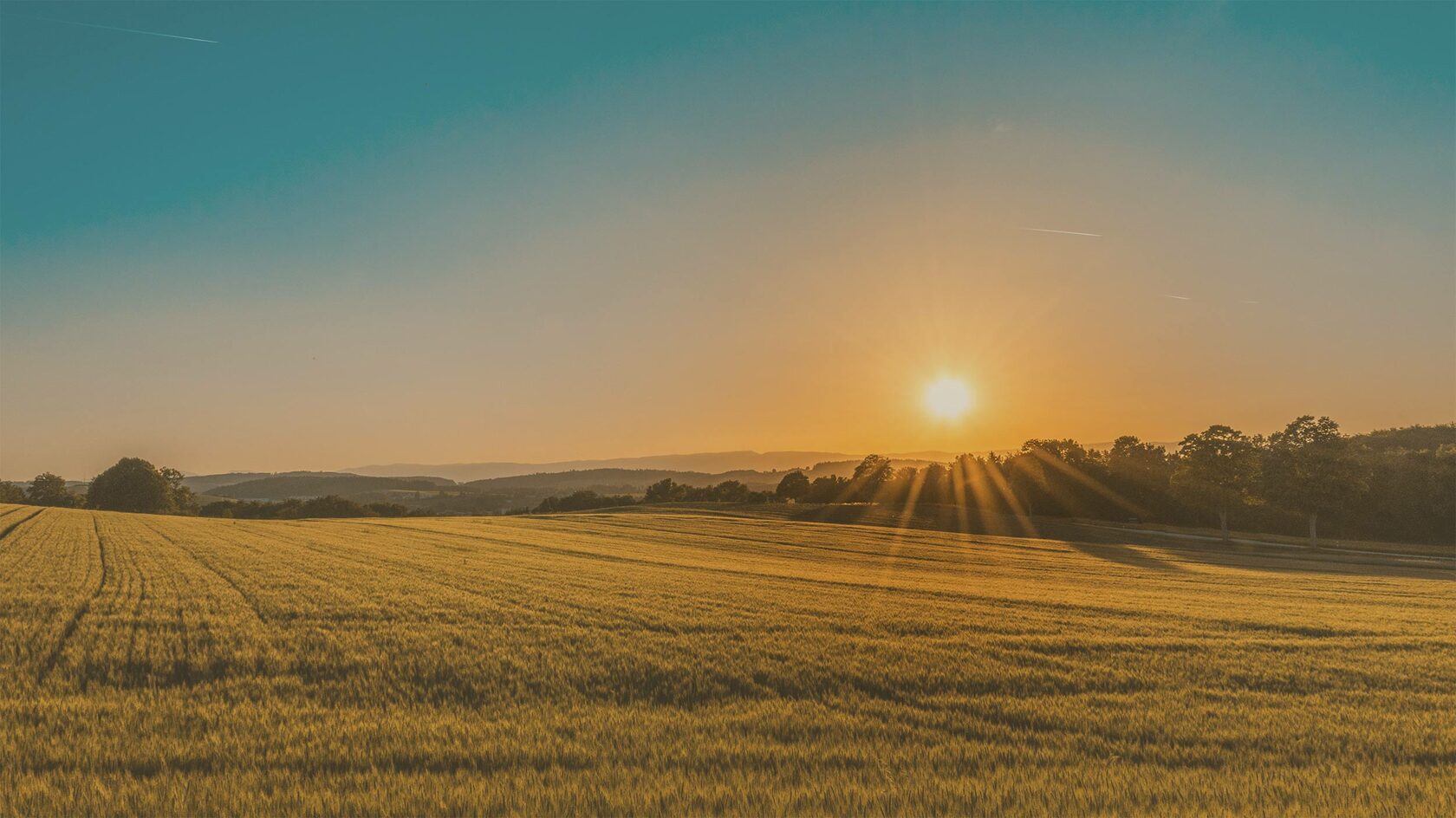 Умиротворяющее фото вечернего пейзажа с полем, лесом и уходящим в закат Солнцем.