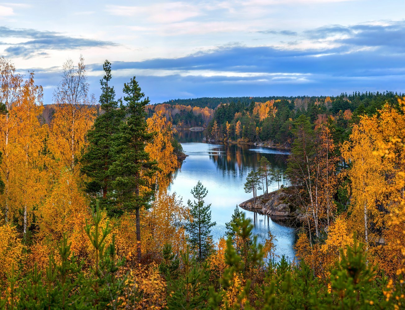 Карелия лес Ладога