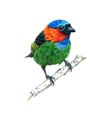  иллюстрация маркерами | Fantasy Room