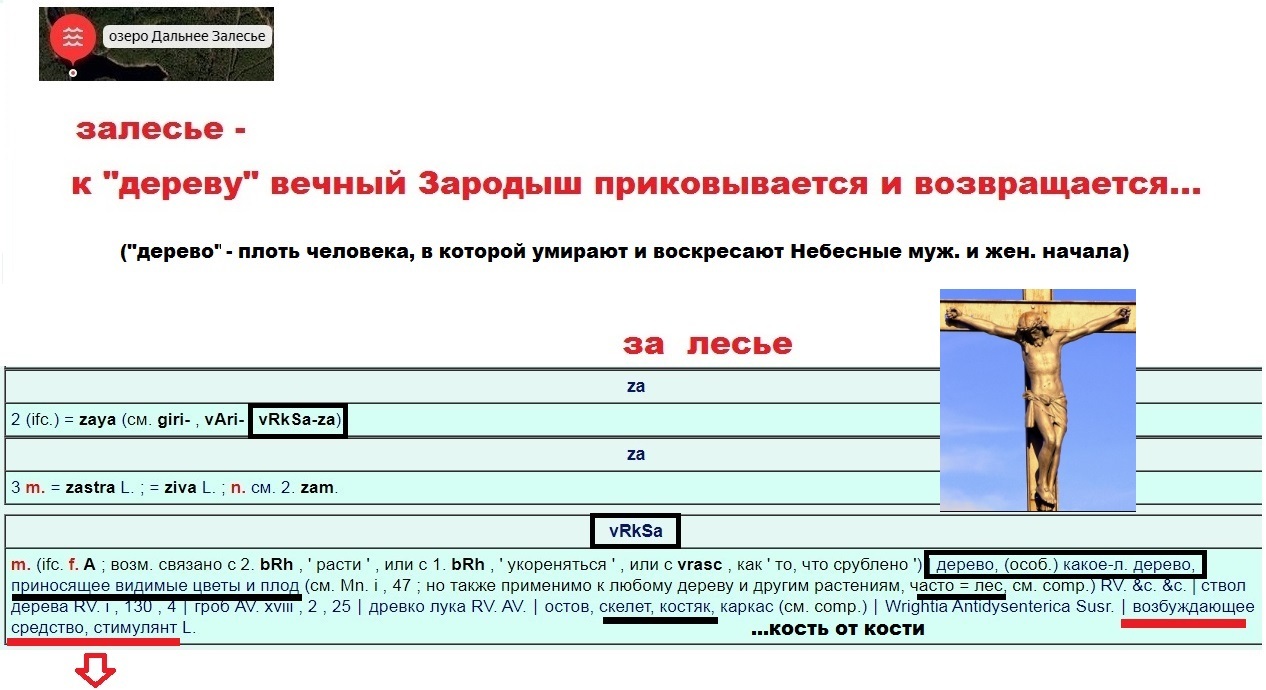 Сморгонь залесье расписание