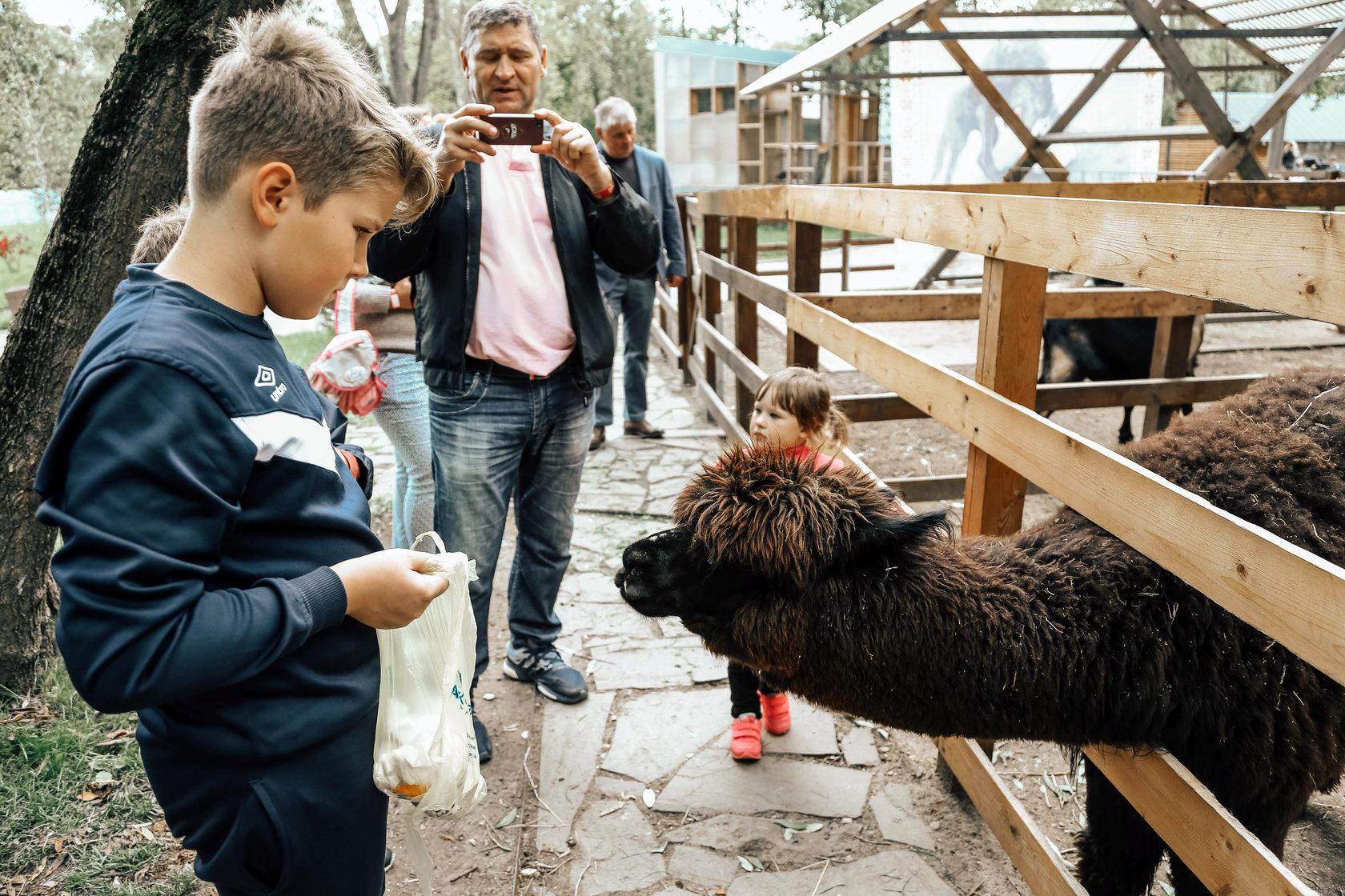 Городская ферма на вднх. Альпаки на ВДНХ. Ферма альпак на ВДНХ. Зооферма ВДНХ. Экскурсии на городской ферме ВДНХ.