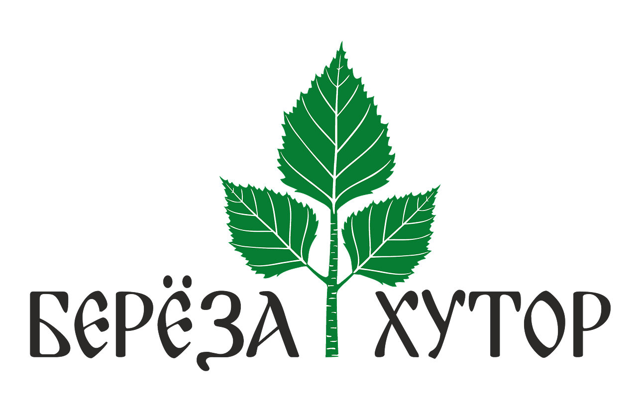 Берёза Хутор