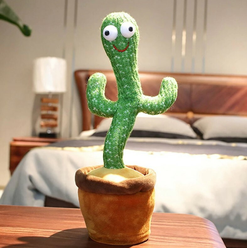 Танцюючий кактус, Dancing Cactus TikTok