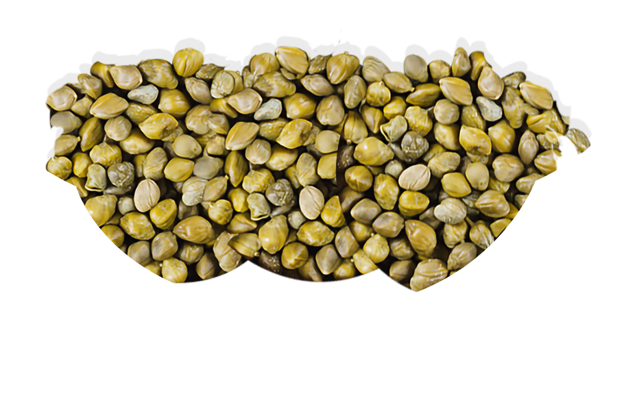 eggs_3