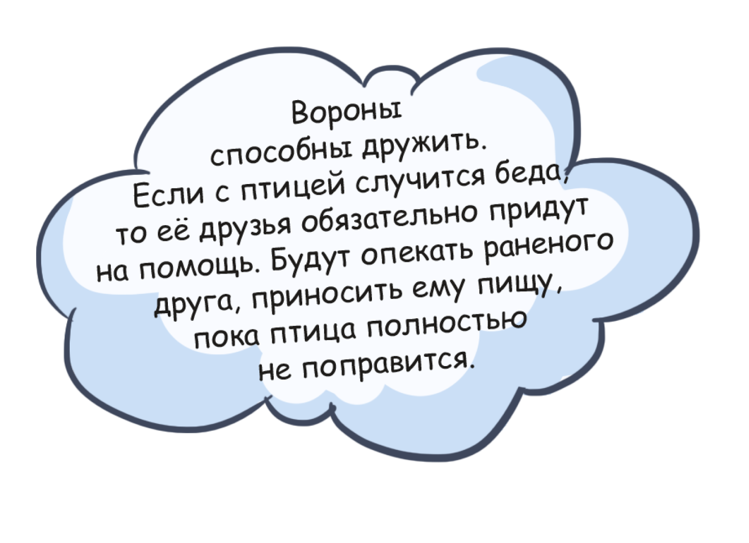 Интеллигентная ворона. Факты о вороне..