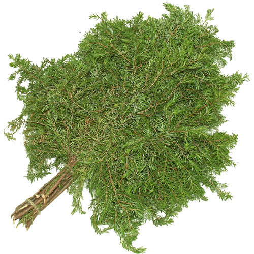 Можжевеловый веник: свежесть и чистота