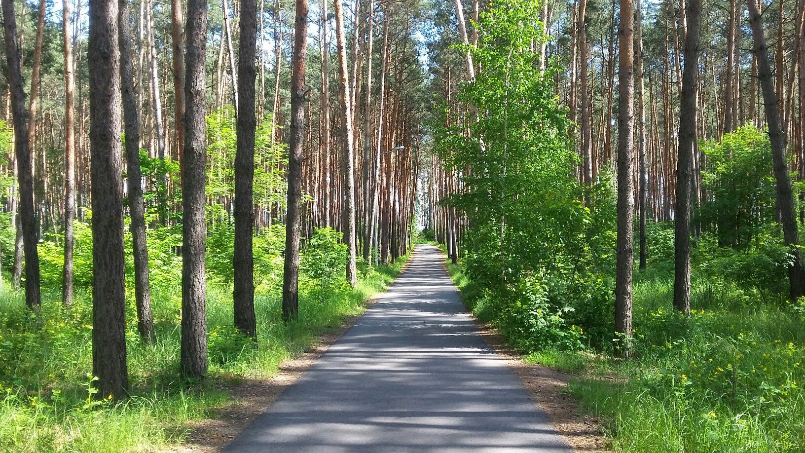 Парк-отель Европа, г. Белгород - официальный сайт