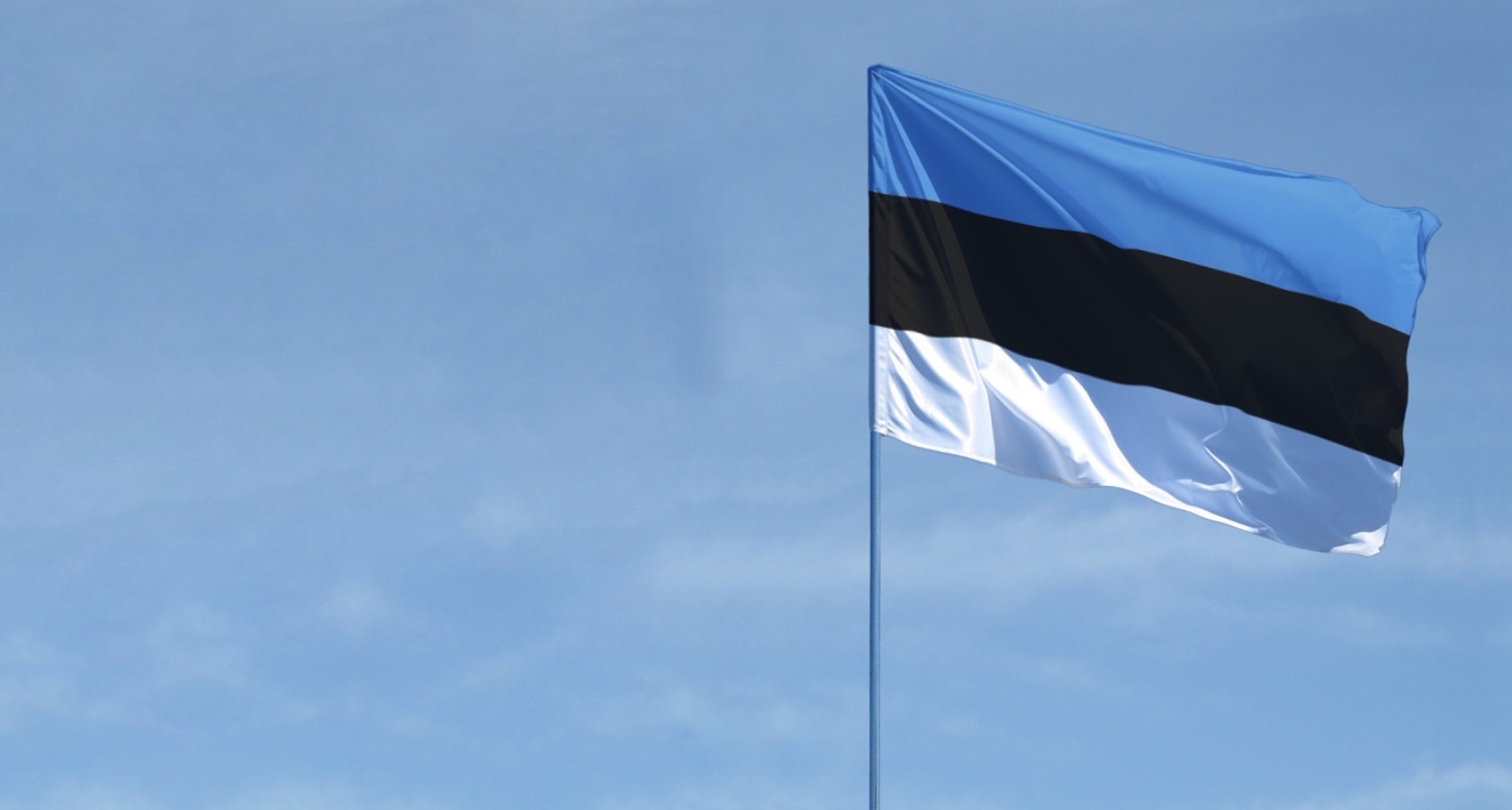 Эстония рассмотрит. Флаг Эстонии. Estonia Flag.