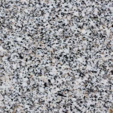 Сосновый Бор