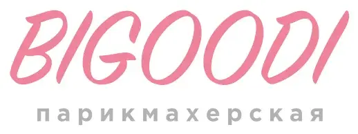 Логотип до доработки: Bigoodi
