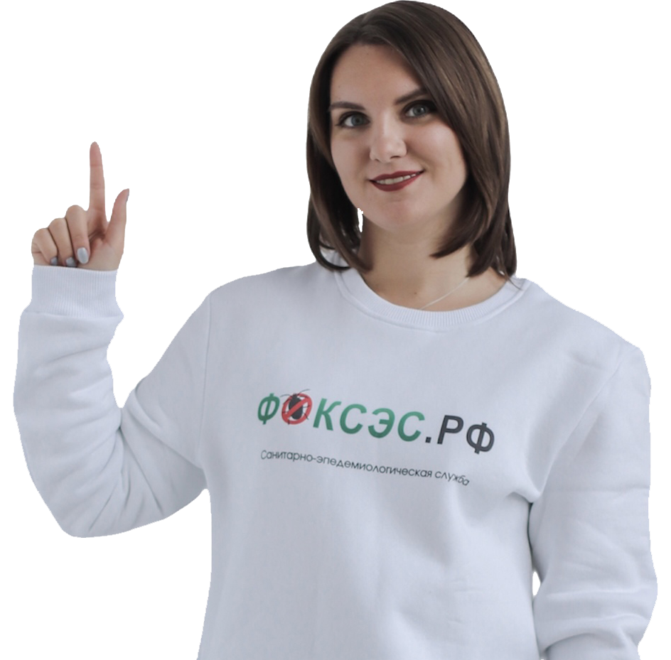 Дератизация помещений в Москве