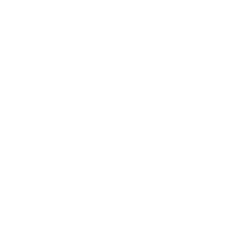 Портретная экспертиза