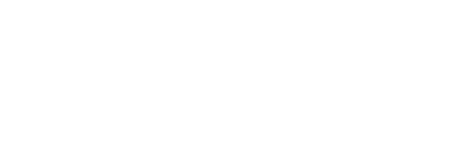 Novo BI