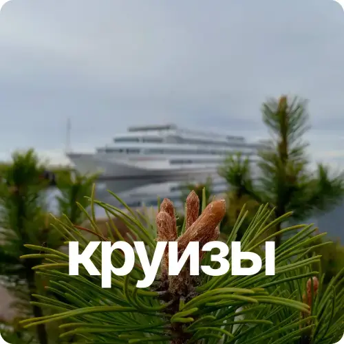 кнопка круизов