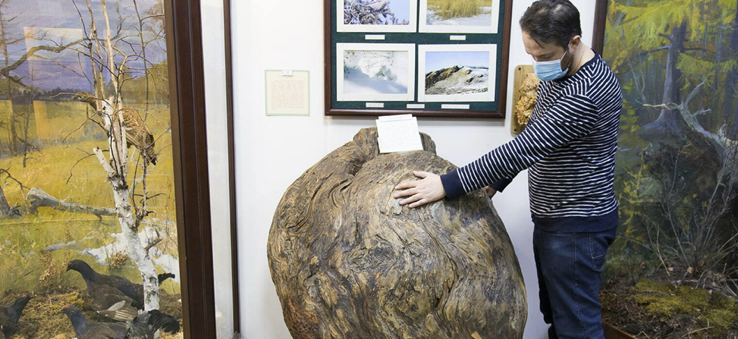 Посетитель трогает экспонат в музее