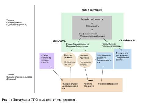 Институт схема терапии