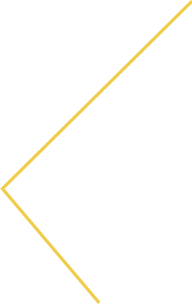 логотип китайского крафтового пива "Mr.P Beer"