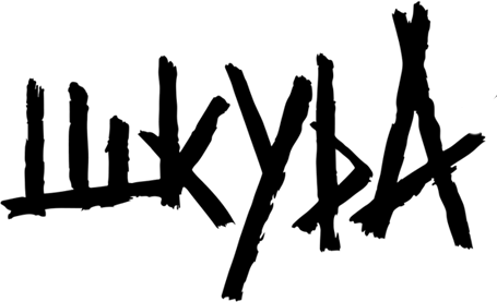 студия оклейки авто Шкура