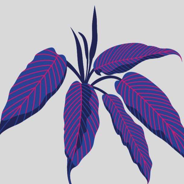 Просто о важном