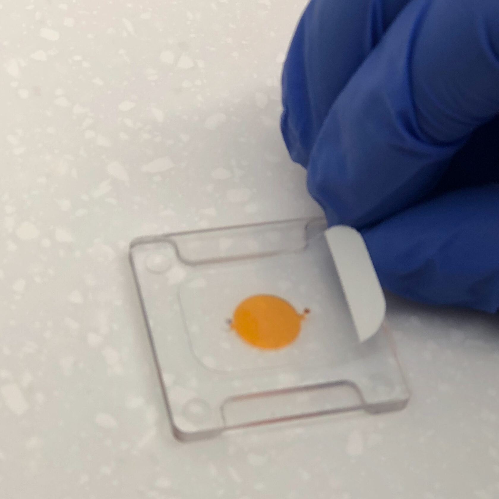 Remove the protective layer from the PCR cartridge -- BioExpert by Trobio