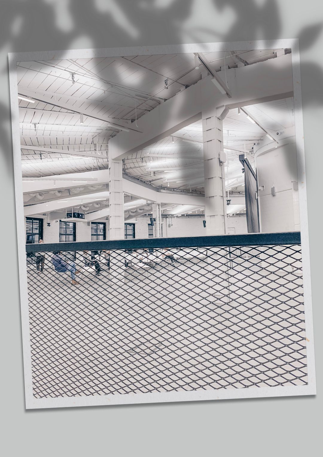 Афиша Nobless: Красный, зеленый, синий: я вижу цвет