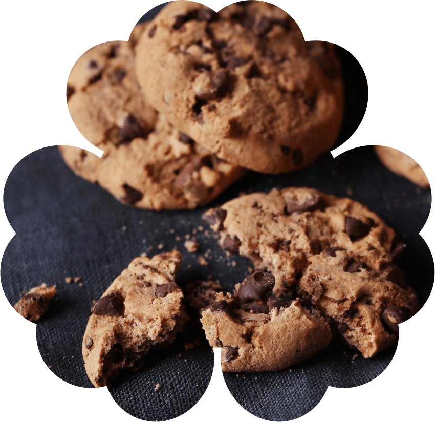 Лесные птицы