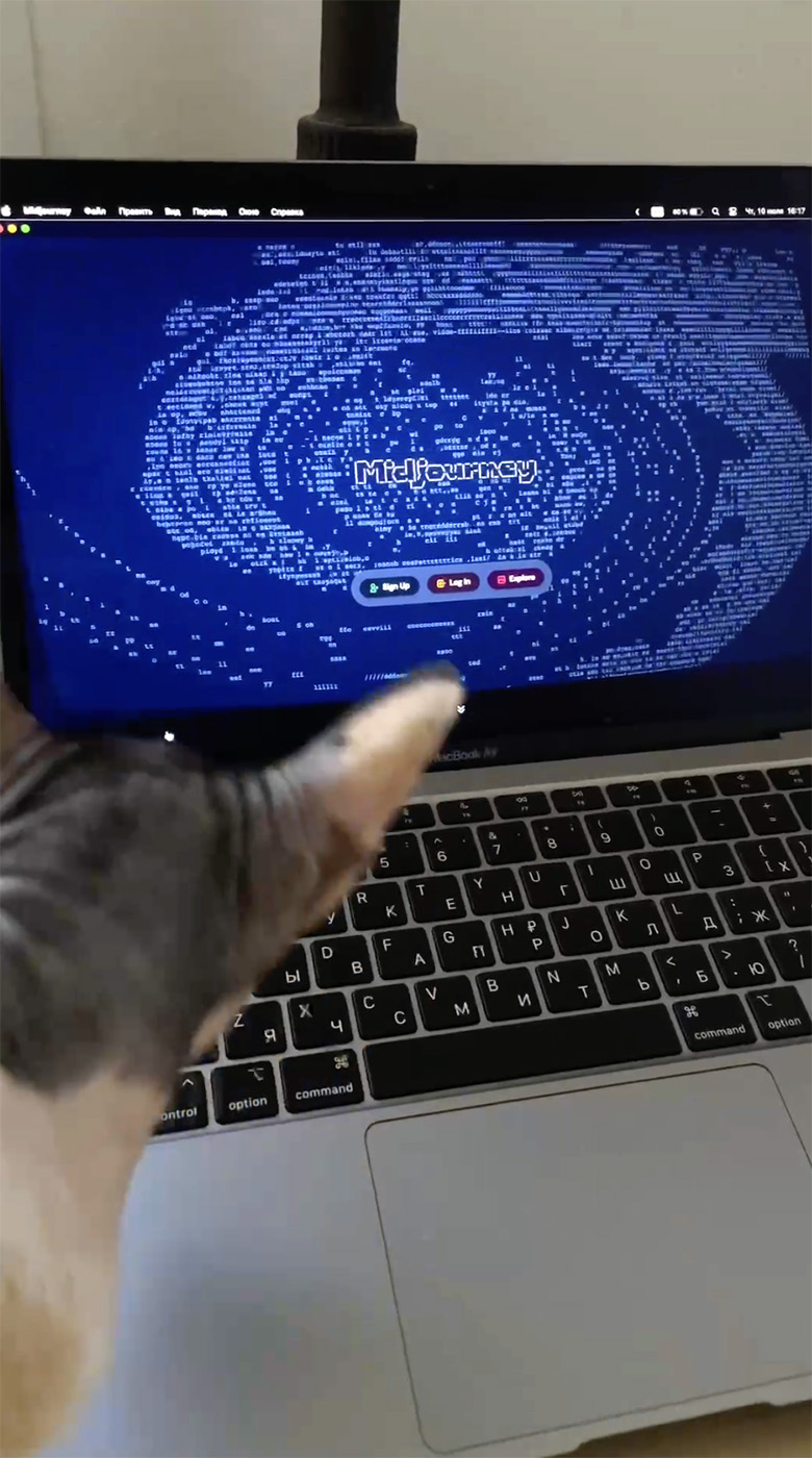 Видео