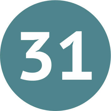 ЭПАМ 31