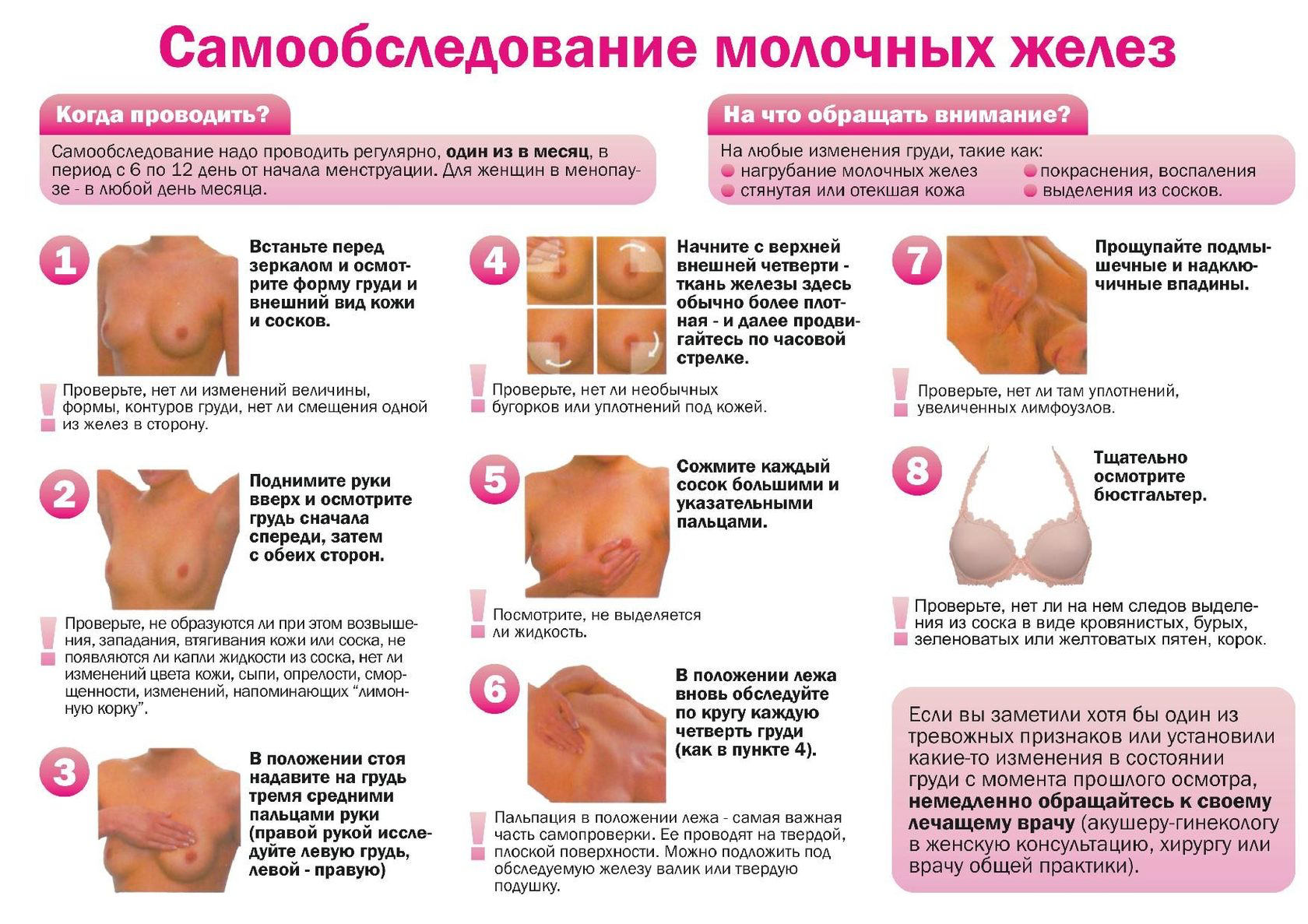 Титьки – ФОТО 12 форм женской груди