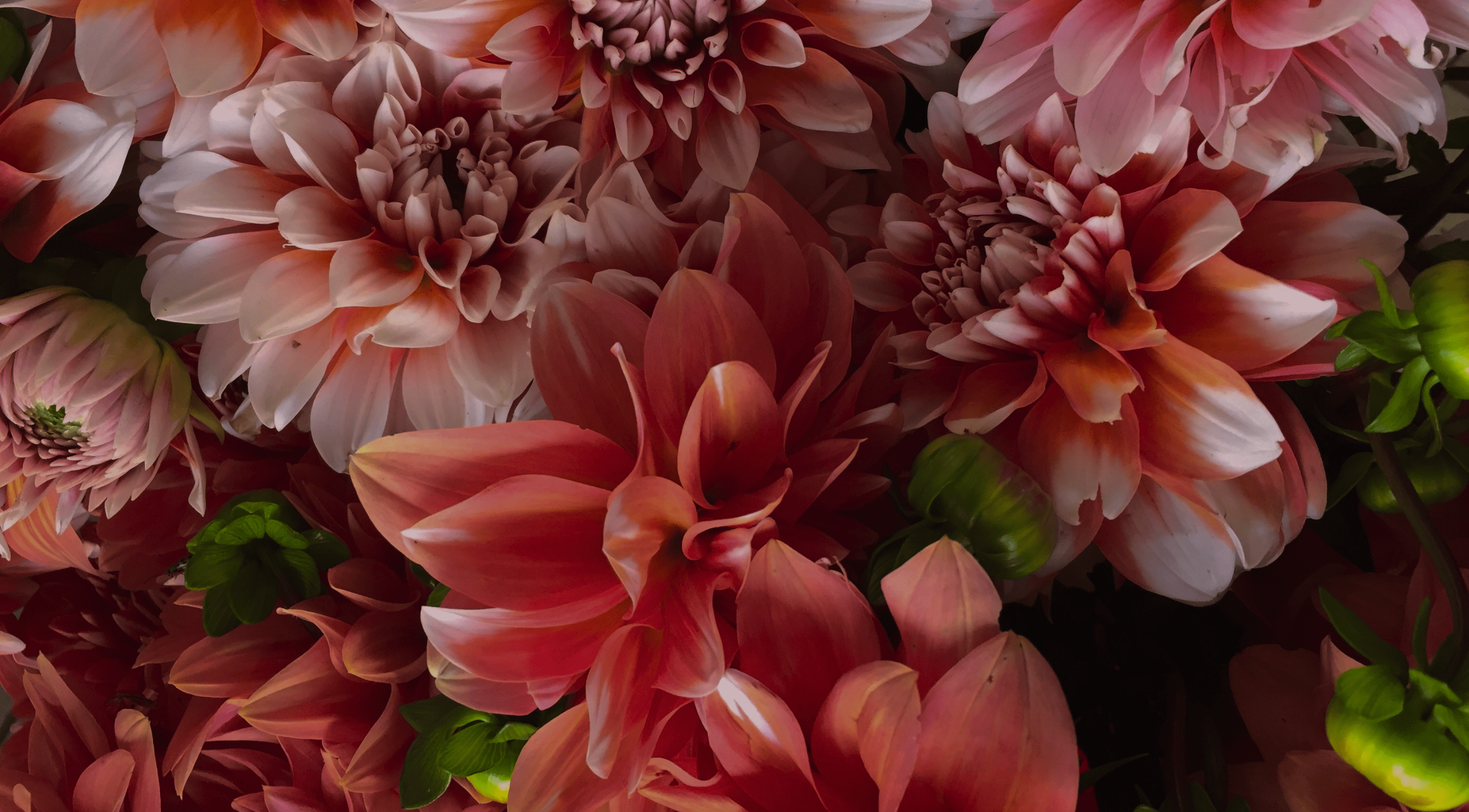 Цветочный магазин