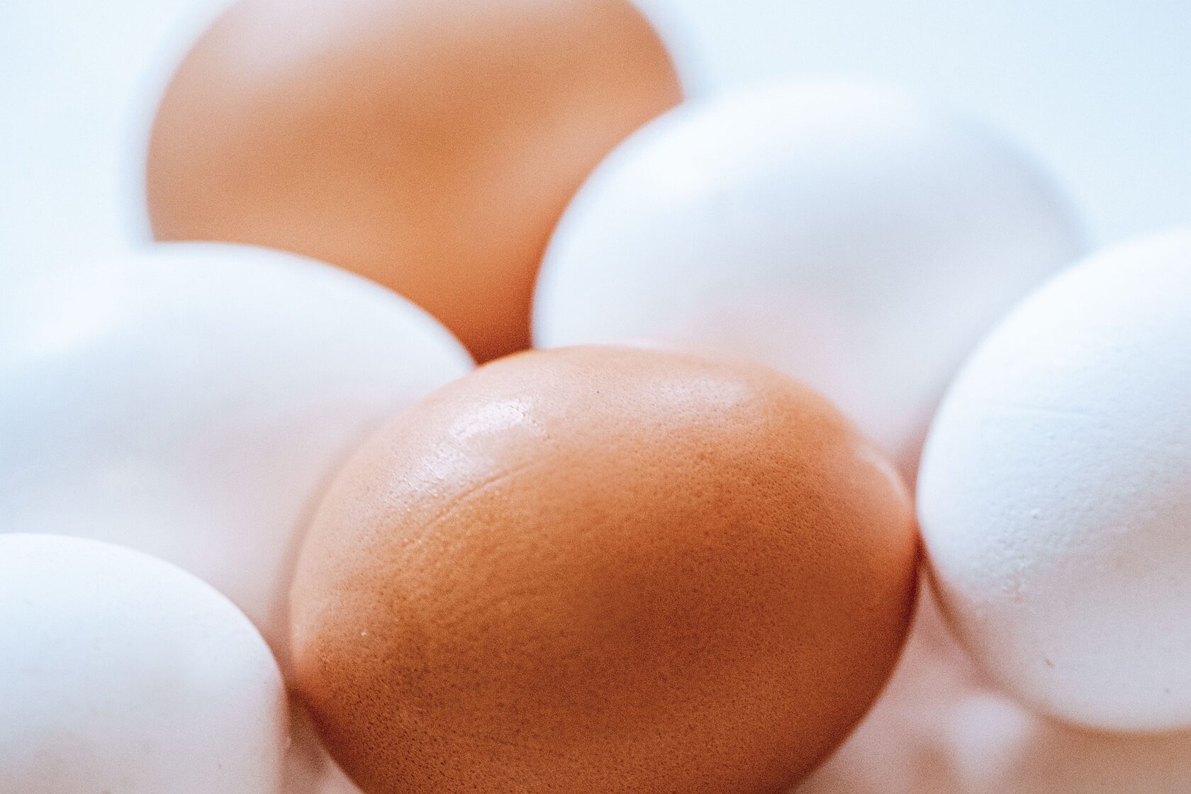 protein timing