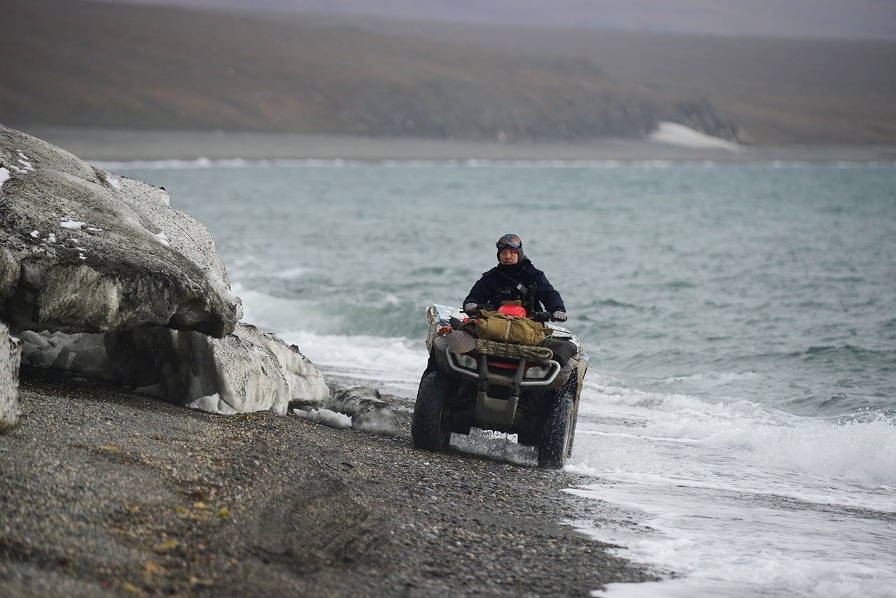 Автор: Татьяна Придорожная