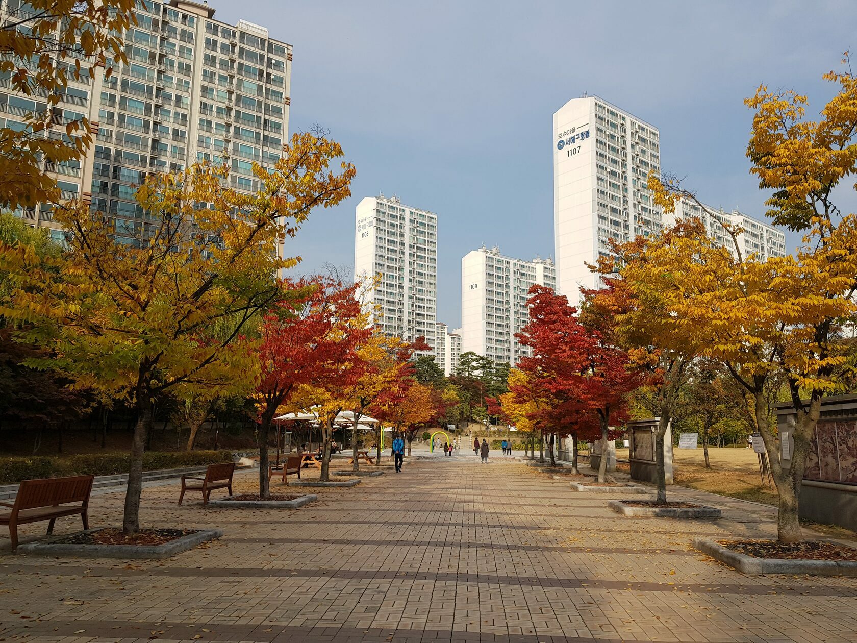 climate in south korea, south korea climate, climate of south korea, south korea and climate change, seoul south korea climate
