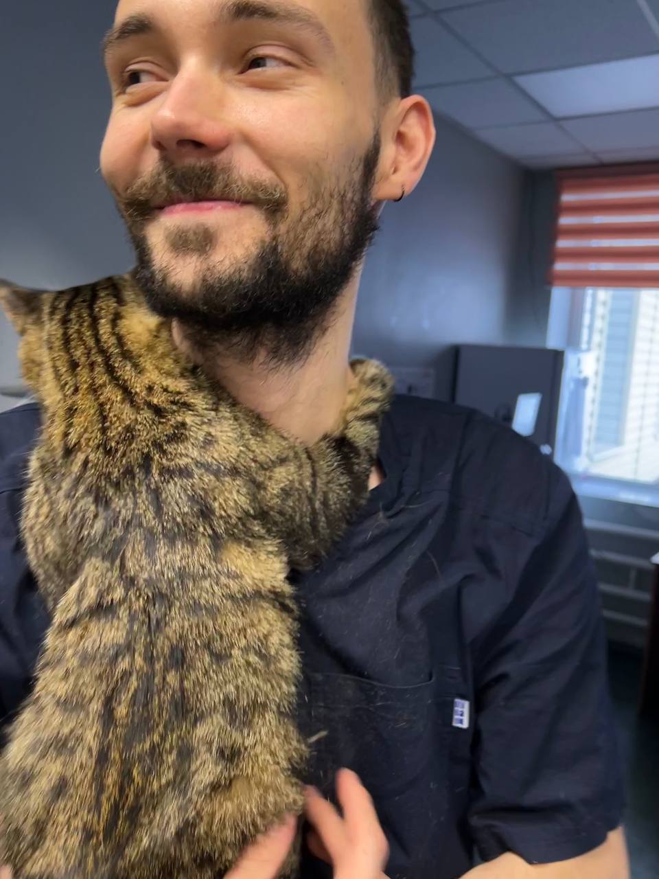 Ветеринарная практика