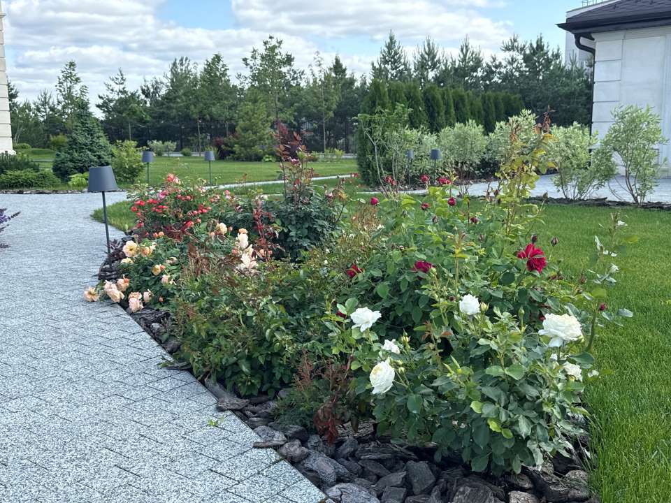 фото клумбы при комплексном уходе от компании Мособлсад