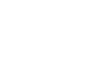 InstaFest