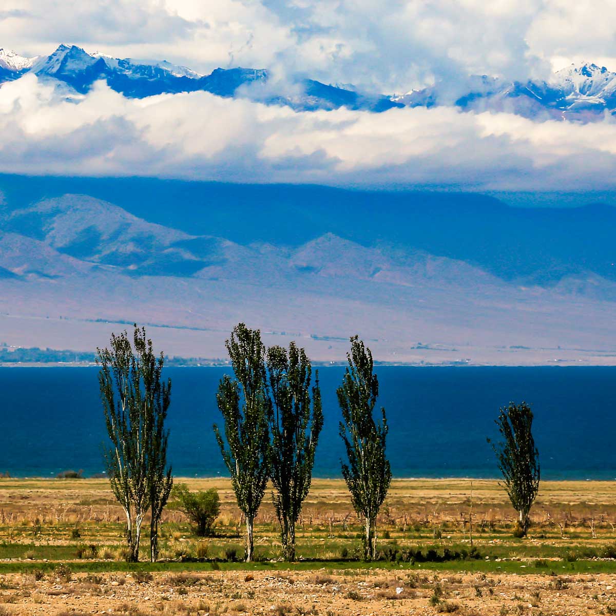 Природа Кыргызстана Иссык Куль