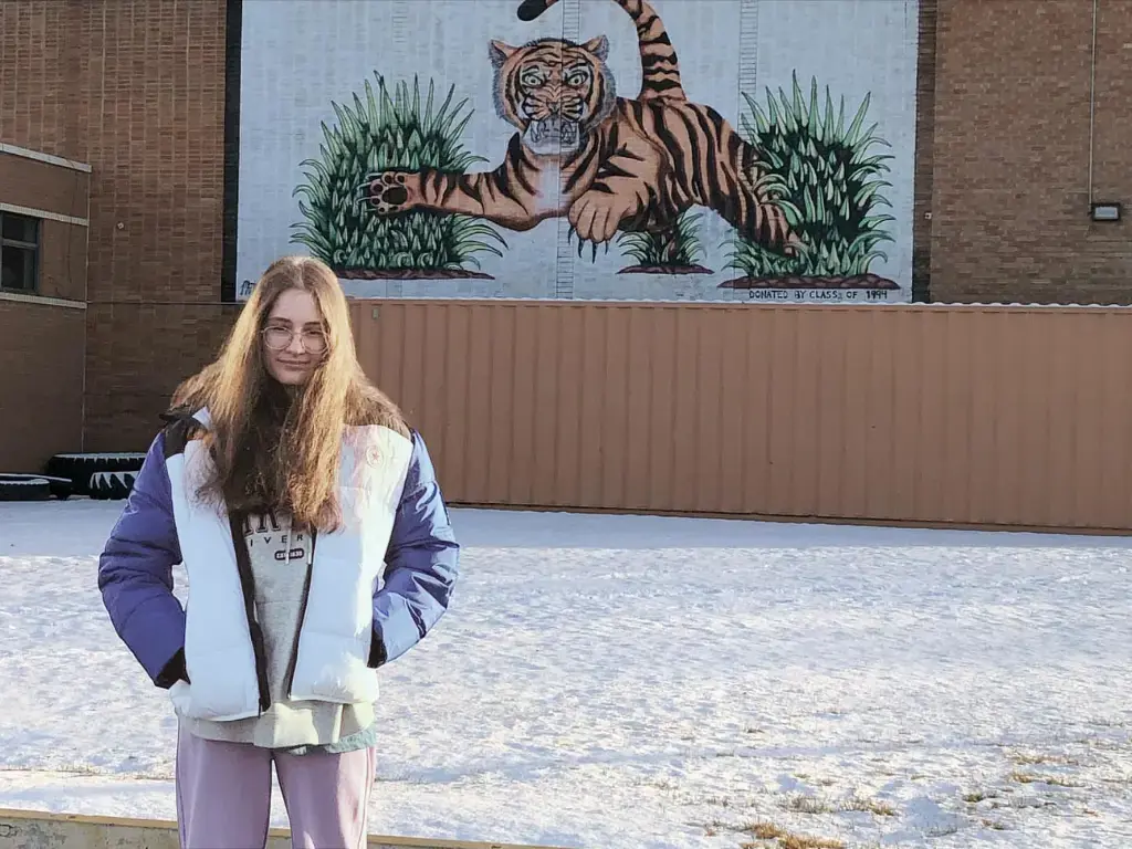 American High School: FACTS