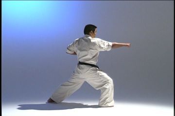 Каратэ киокушин