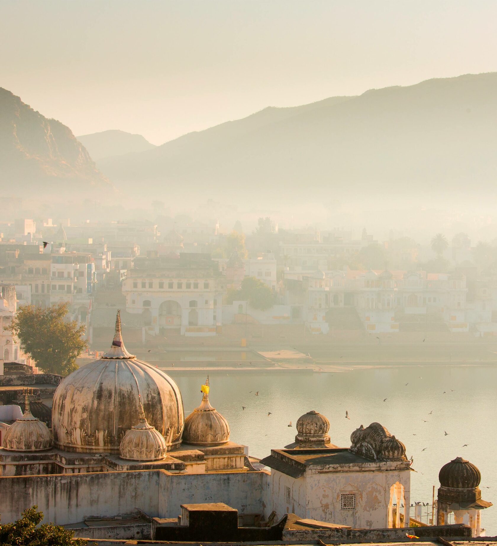 Об игре Самопознания Лила. Трансформационная Игра Лила Чакры Стрелы и Змеи