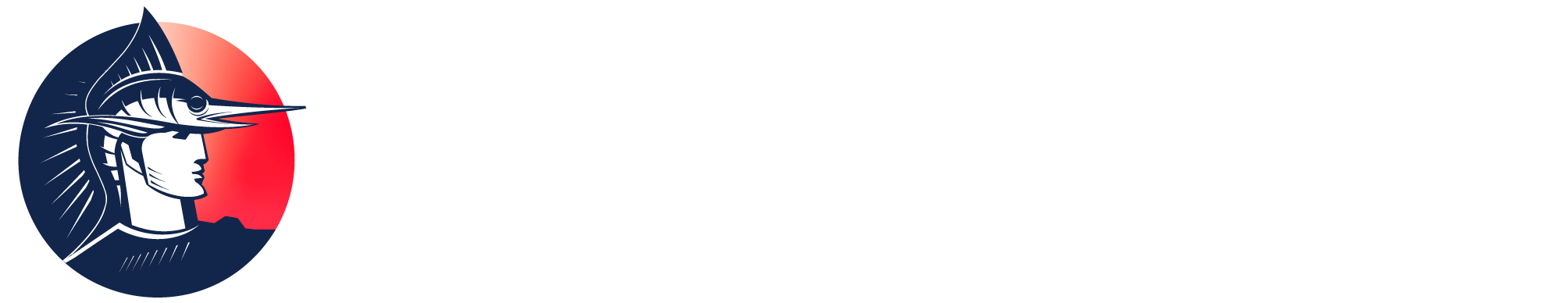 National Dive League