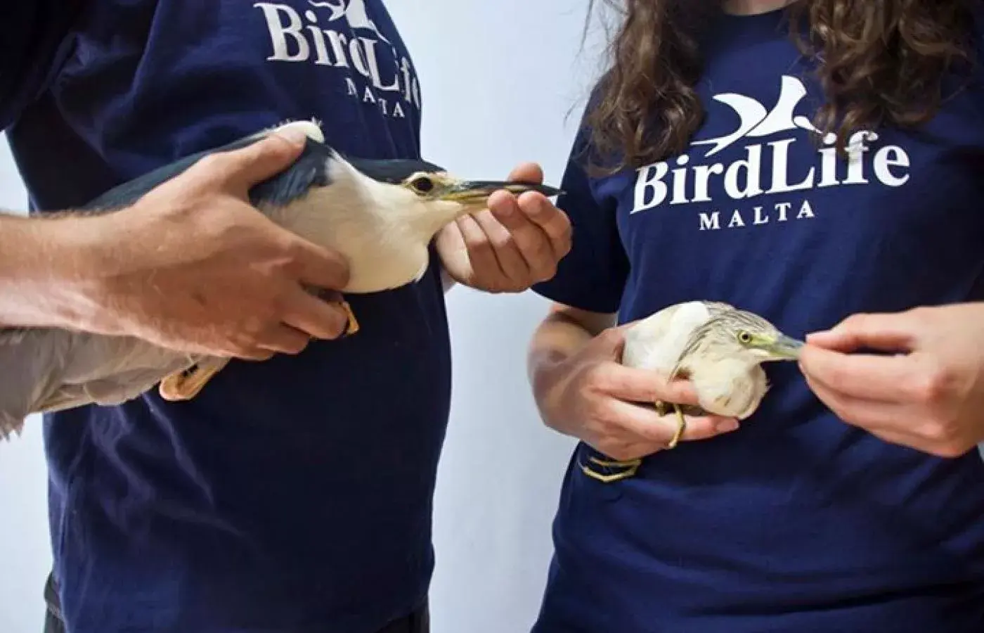 BirdLife International