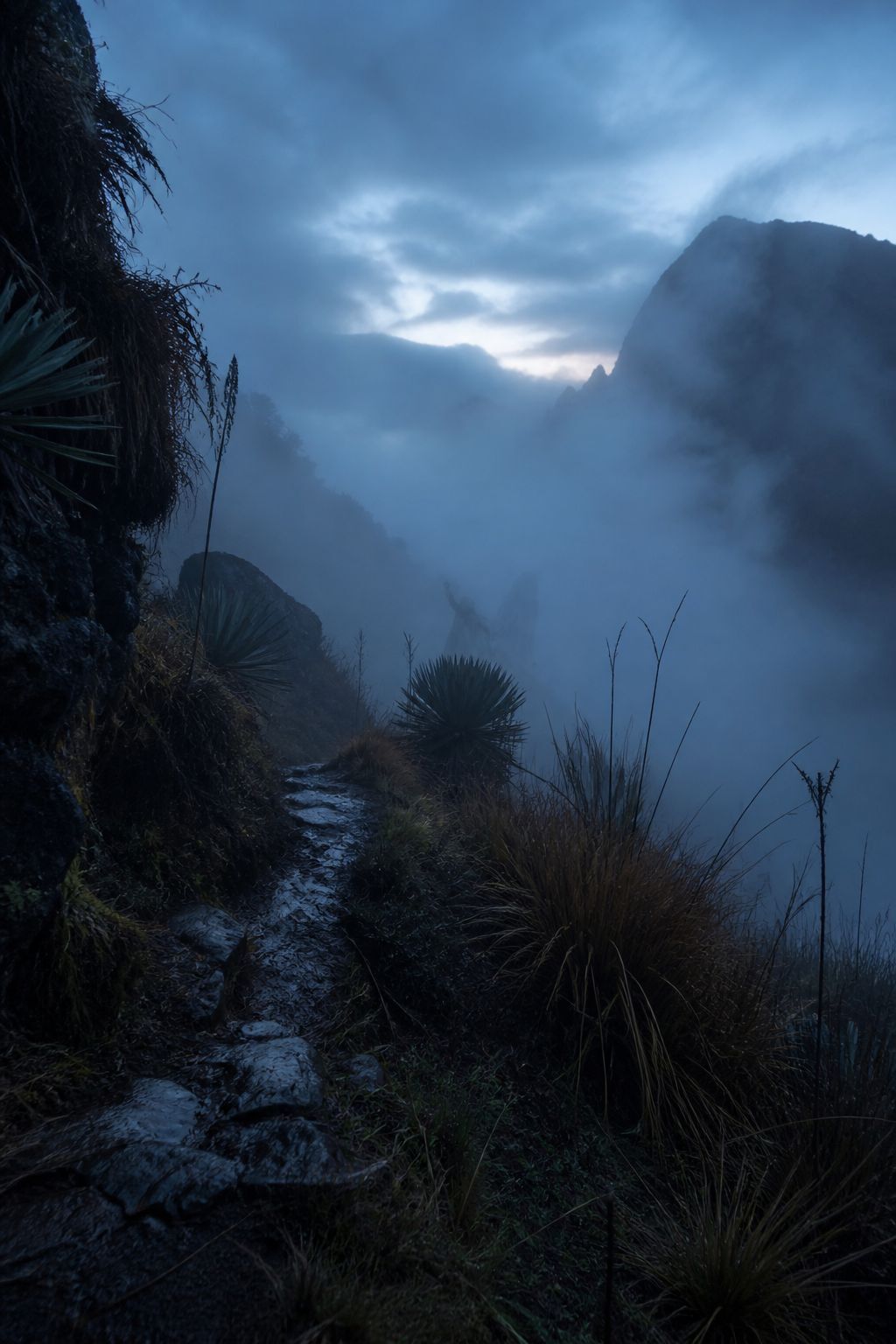 Sosok misterius di pegunungan Papua yang memanggil dari kabut