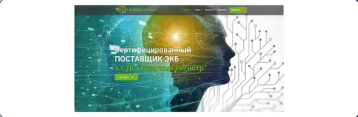 Графический интерфейс «lifeelectronics»